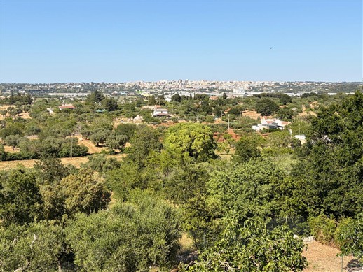 Villa Panoramica In Buone Condizioni Con Trullo Comunicante.